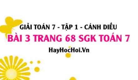 Giải bài 3 trang 68 Toán 7 Tập 1 SGK Cánh Diều